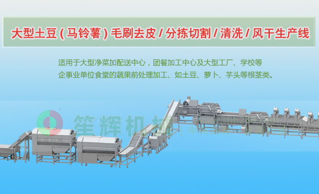 资源连续式土豆去皮清洗切割风干生产线